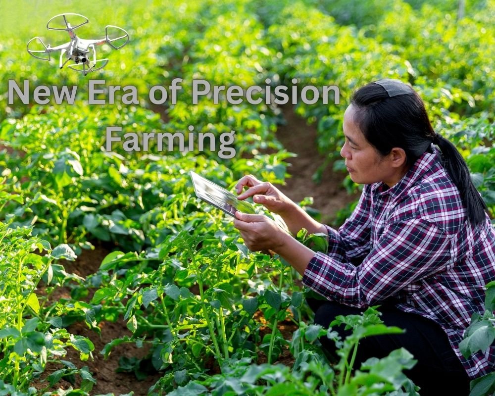 Machine Learning in Agriculture