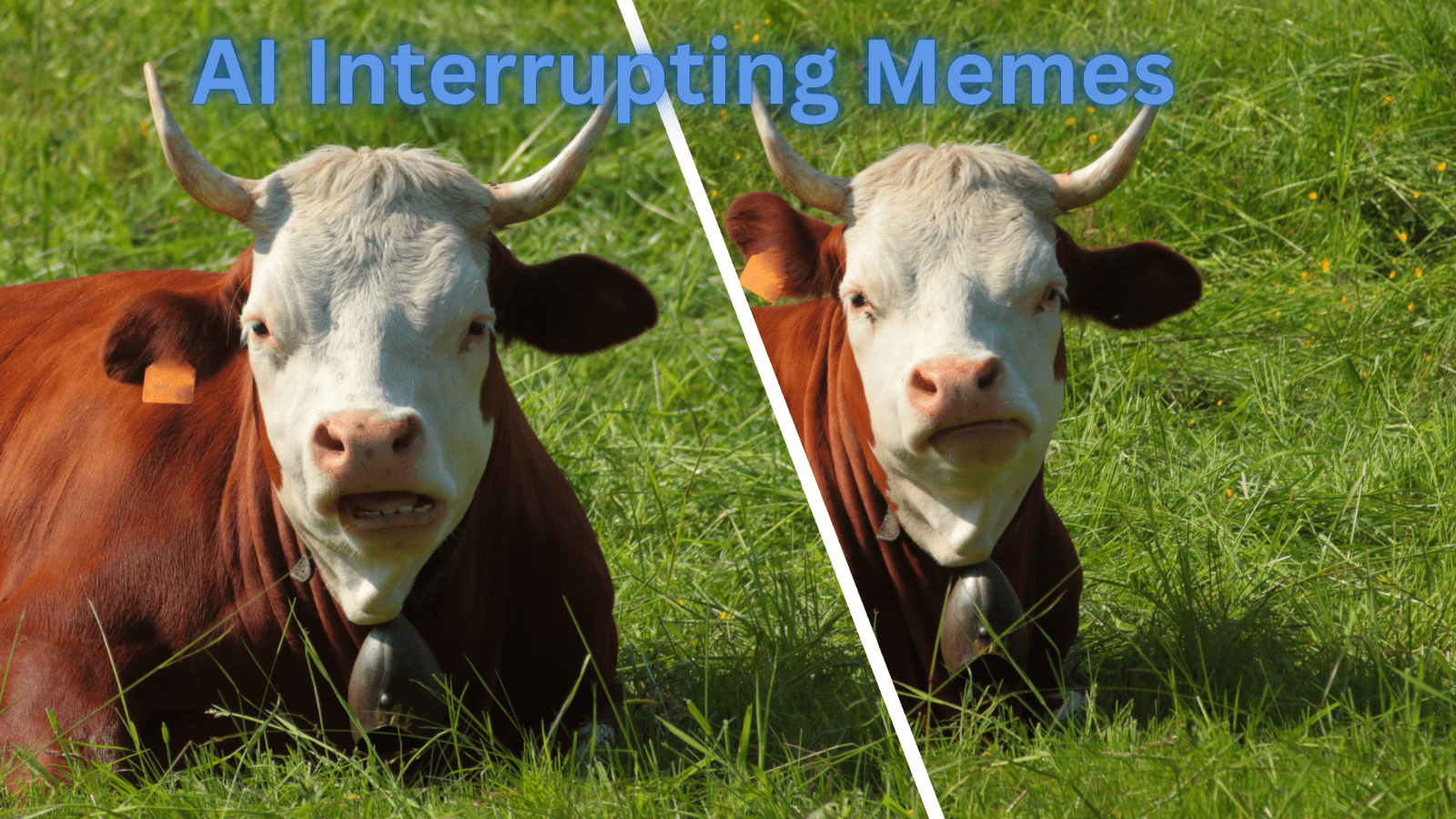 AI Interrupting Memes